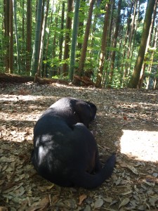 テント場で休むオポ