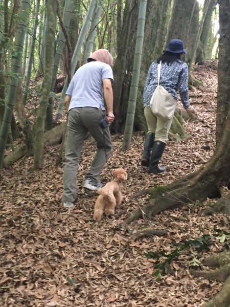 クウーちゃん山登り