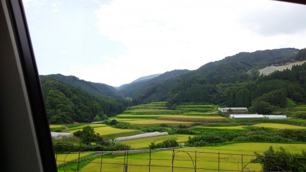 七山池原地区の棚田