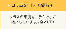 コラム21「犬と暮らす」